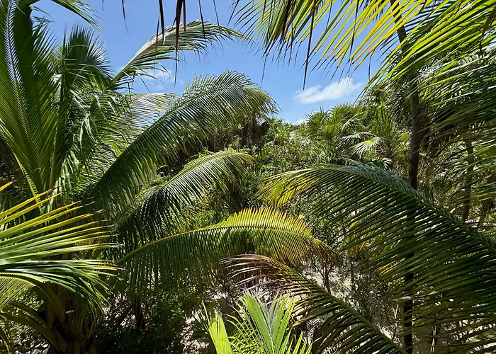 Casa Gitano Hotel Tulum